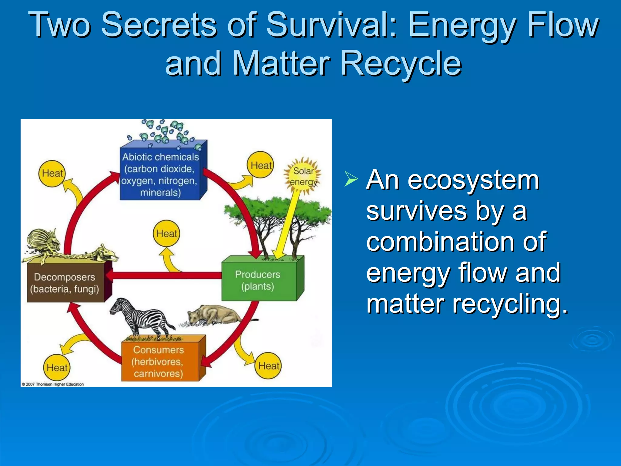 Two Secrets of Survival: Energy Flow and Matter Recycle An ecosystem survives by a combination of energy flow and matter recycling. 
