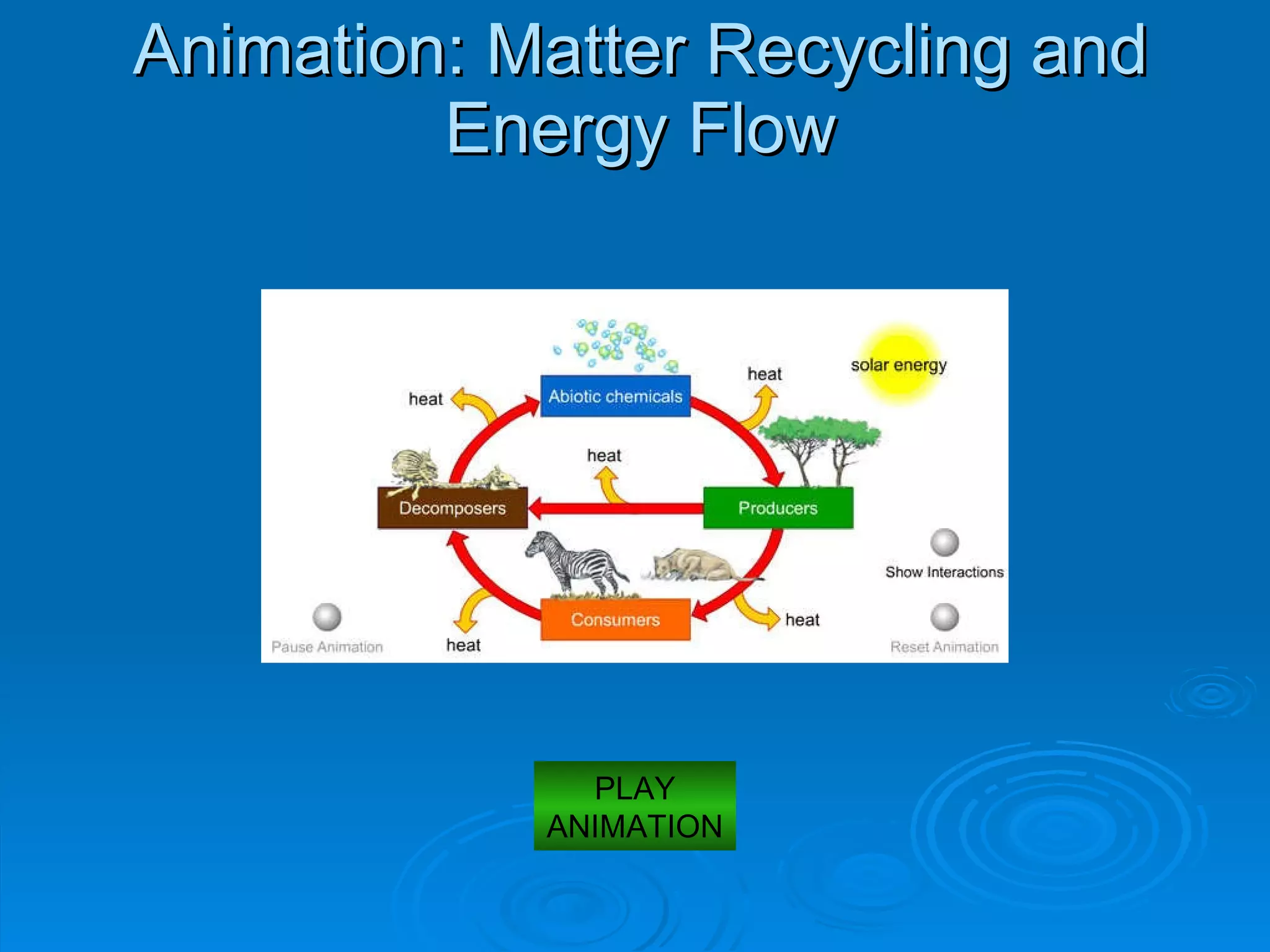 Animation: Matter Recycling and Energy Flow PLAY ANIMATION 