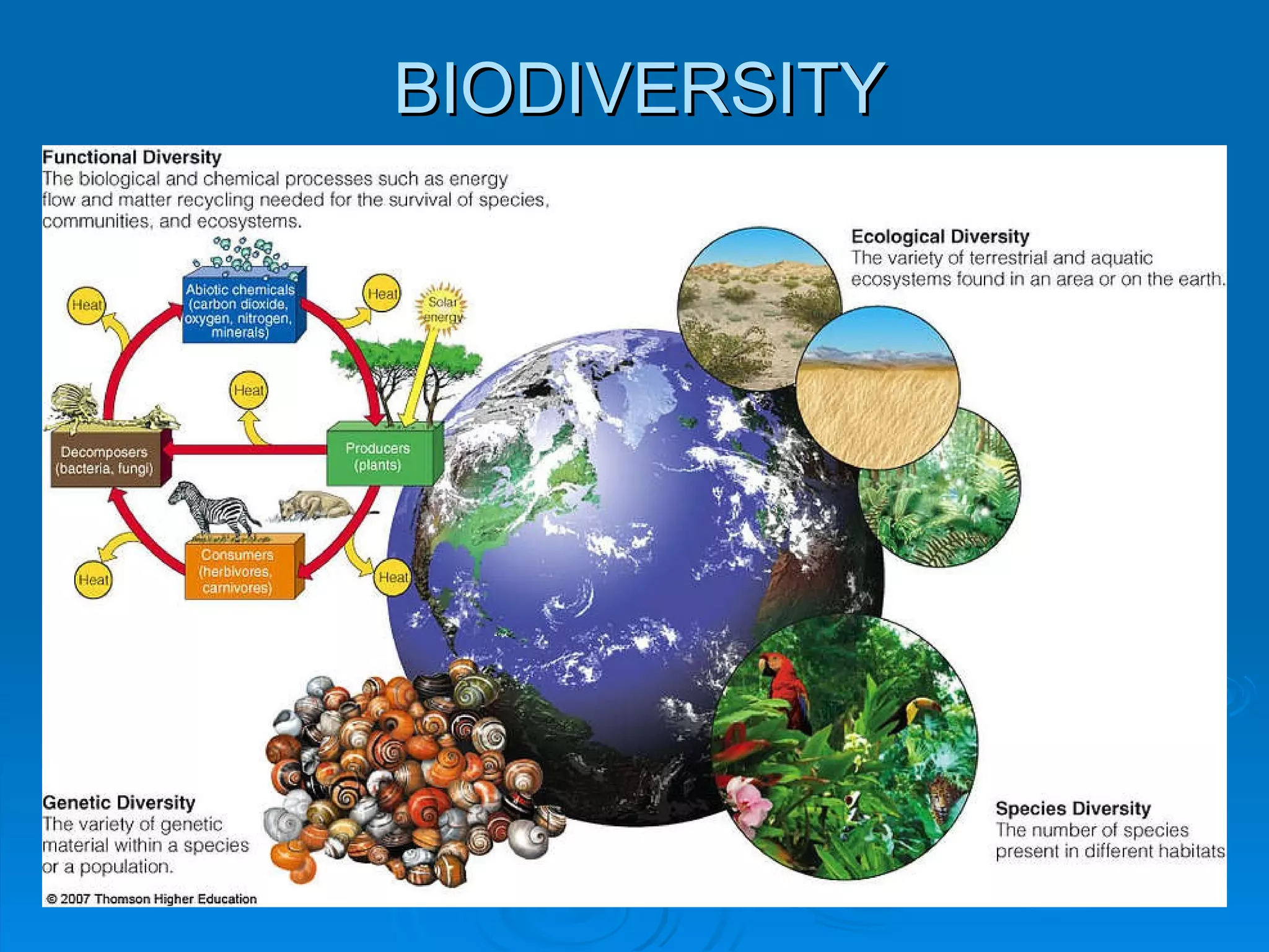 BIODIVERSITY 