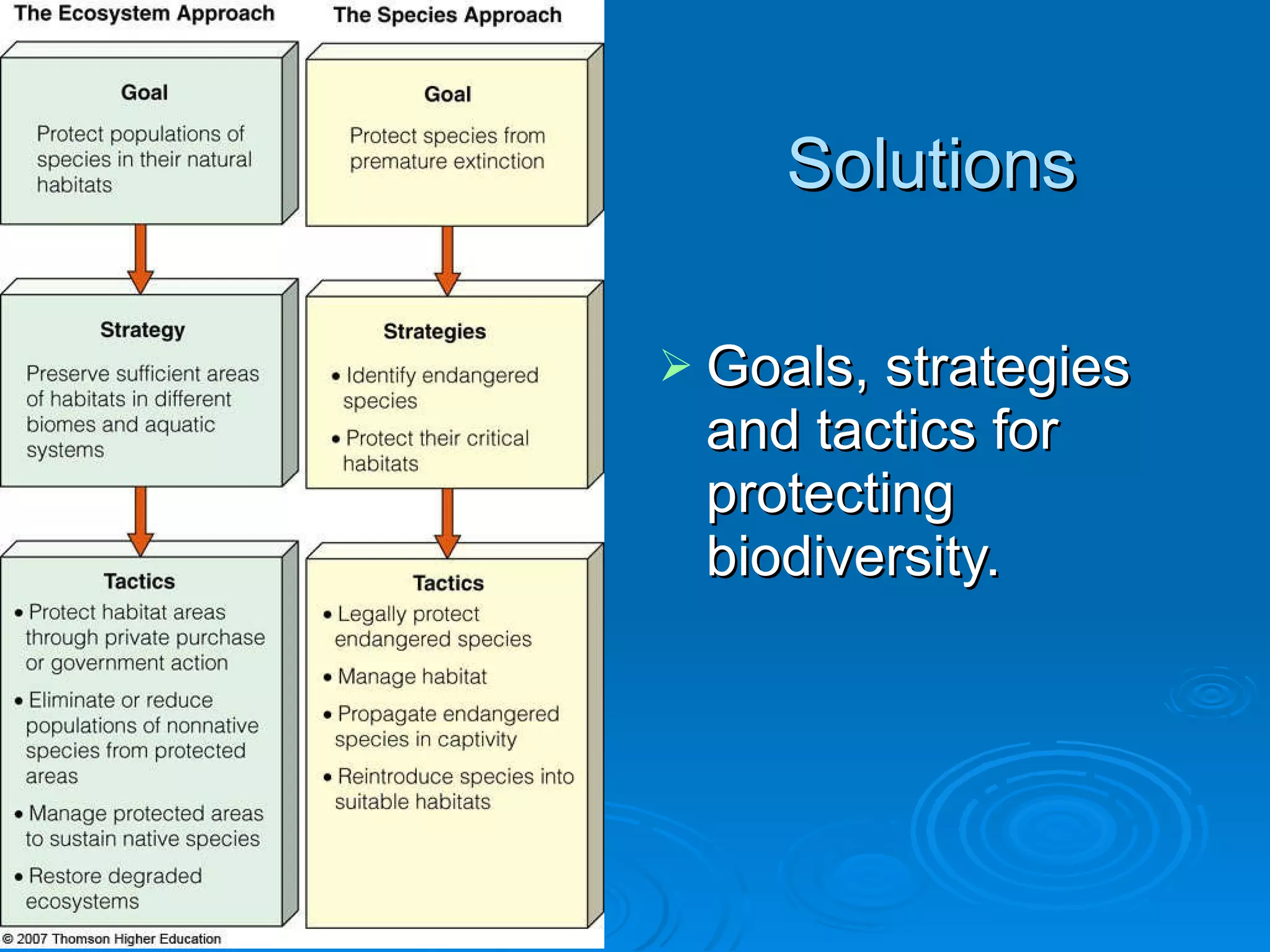 Solutions Goals, strategies and tactics for protecting biodiversity. 