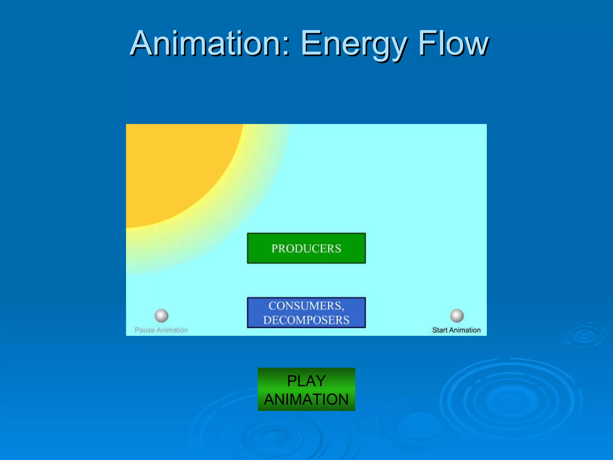 Animation: Energy Flow PLAY ANIMATION 