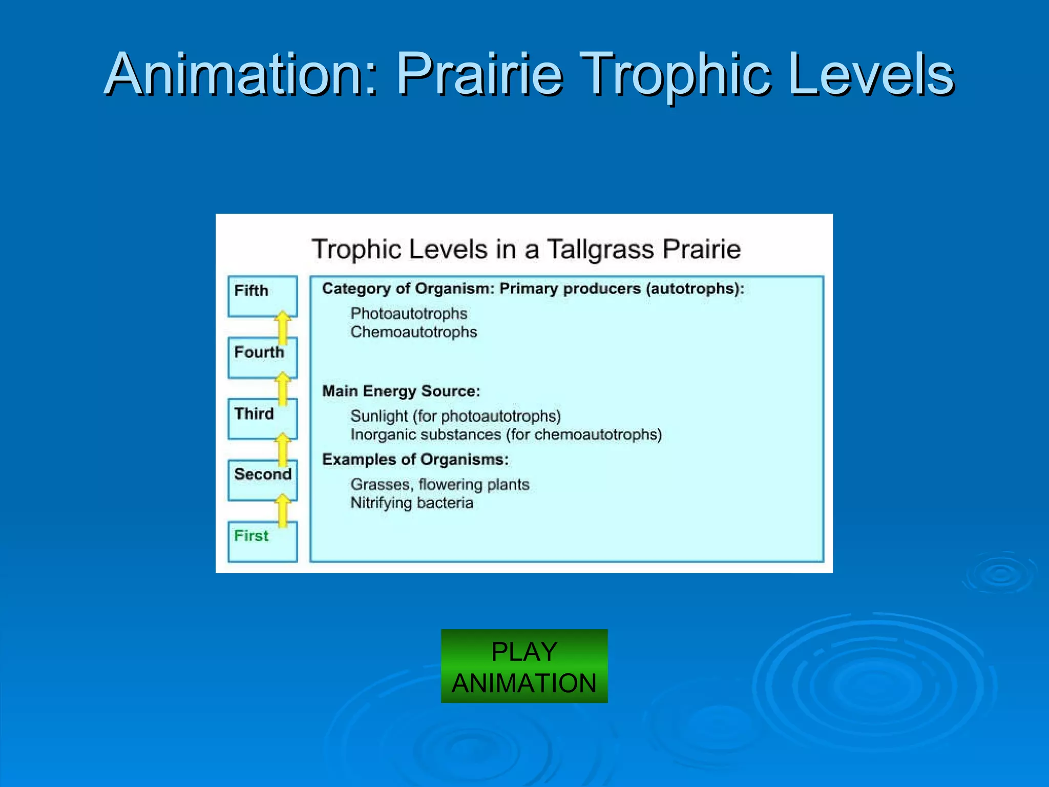 Animation: Prairie Trophic Levels PLAY ANIMATION 