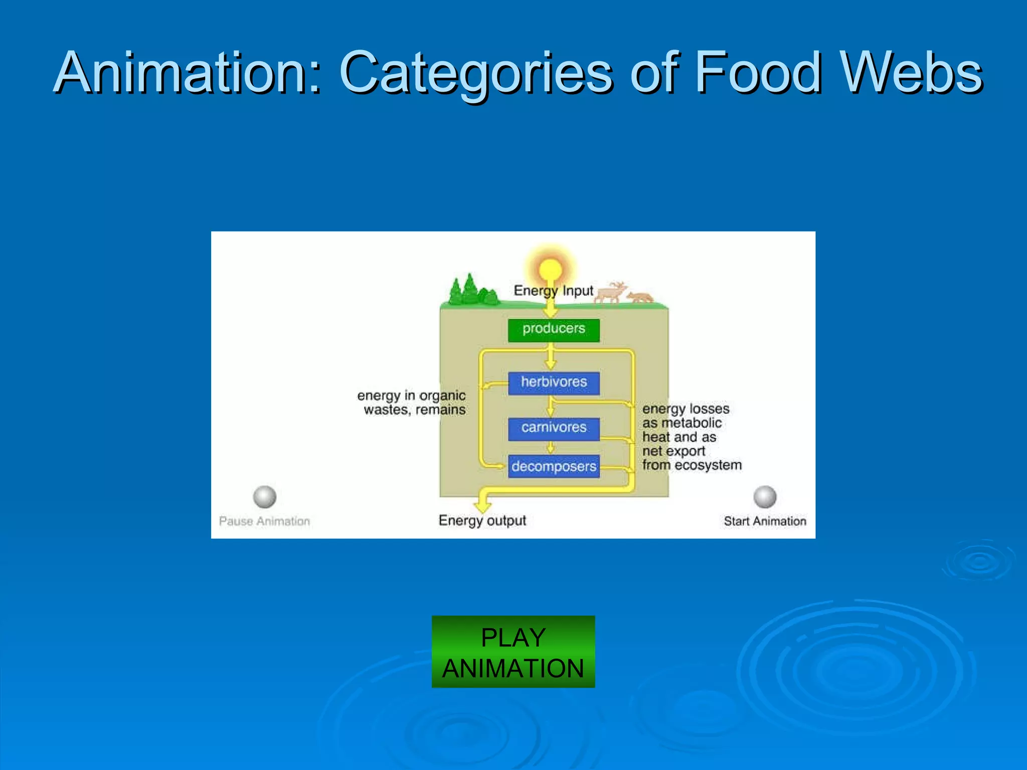 Animation: Categories of Food Webs PLAY ANIMATION 