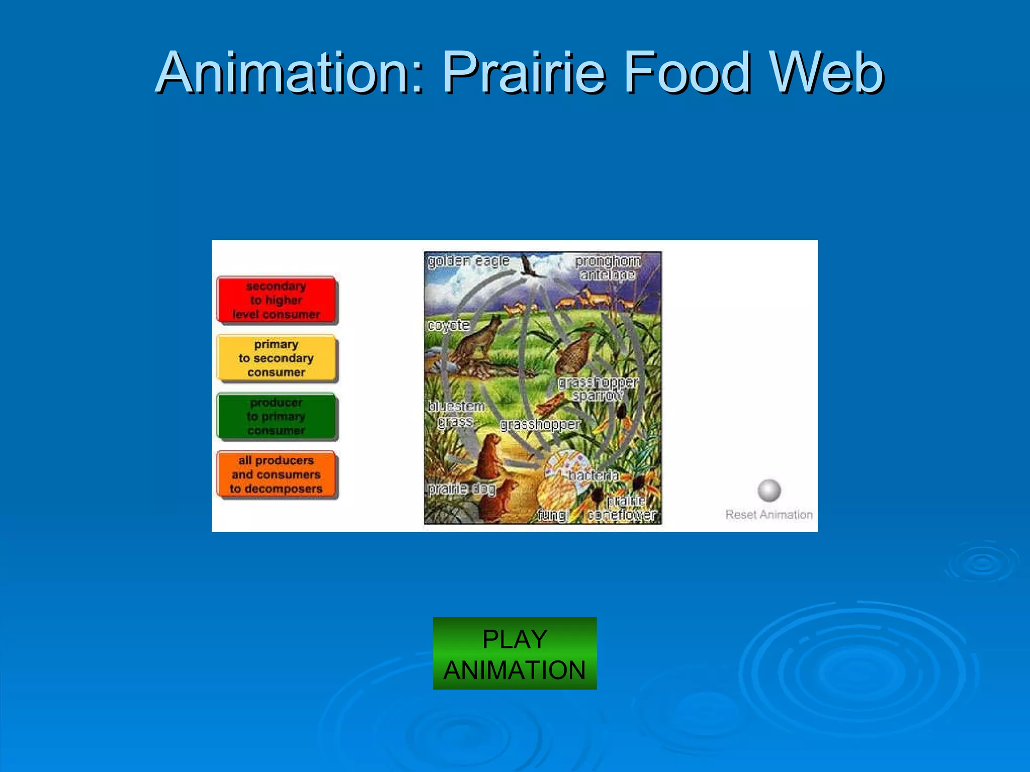 Animation: Prairie Food Web PLAY ANIMATION 