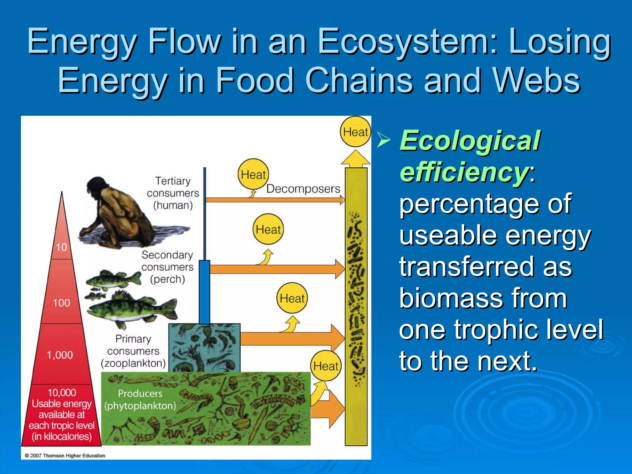 Energy Flow in an Ecosystem: Losing Energy in Food Chains and Webs Ecological efficiency : percentage of useable energy transferred as biomass from one trophic level to the next. 