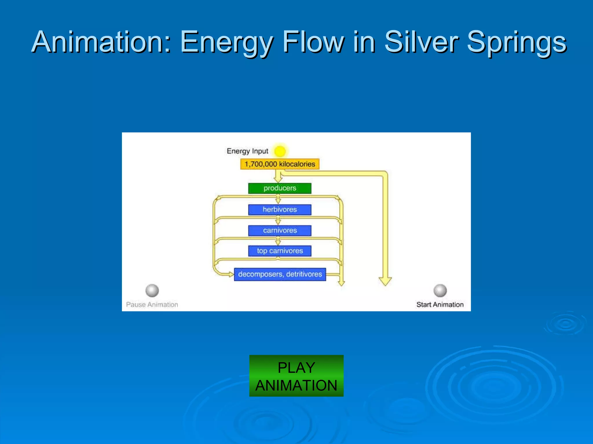 Animation: Energy Flow in Silver Springs PLAY ANIMATION 