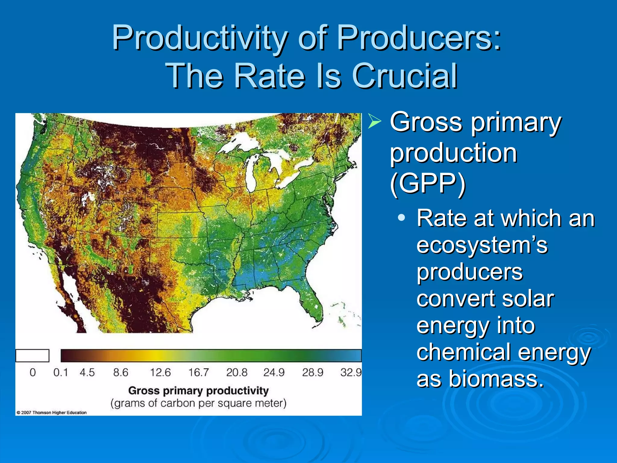 Productivity of Producers:  The Rate Is Crucial Gross primary production (GPP)  Rate at which an ecosystem ’s producers convert solar energy into chemical energy as biomass. 