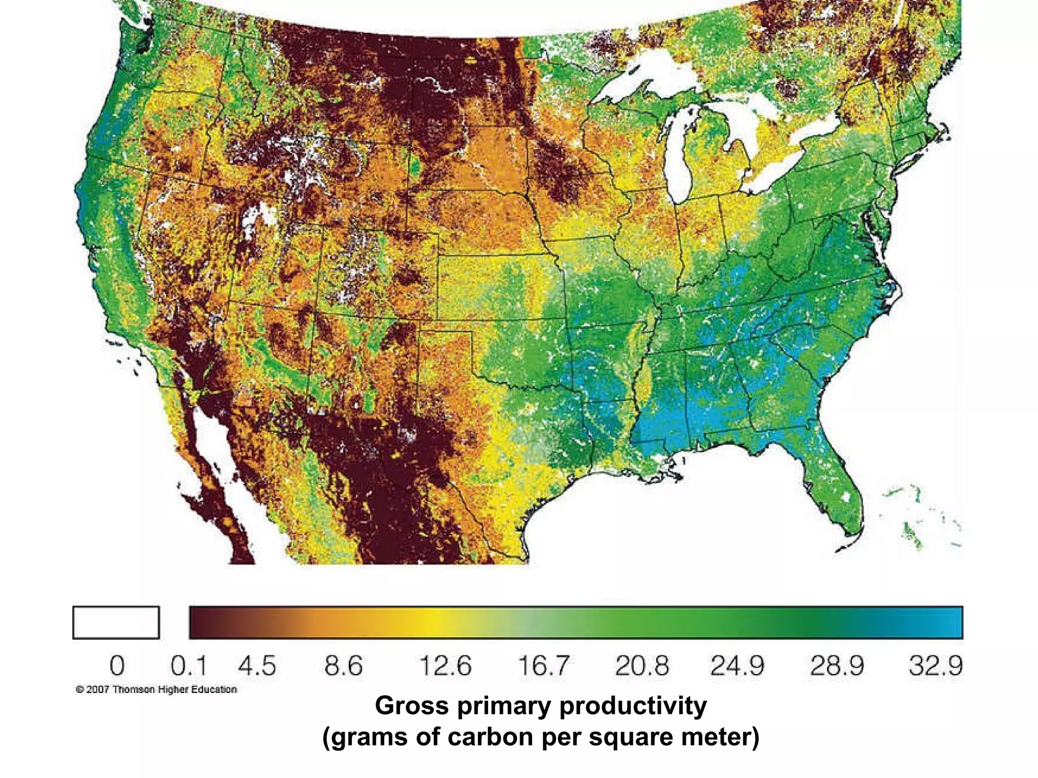 Gross primary productivity (grams of carbon per square meter) 