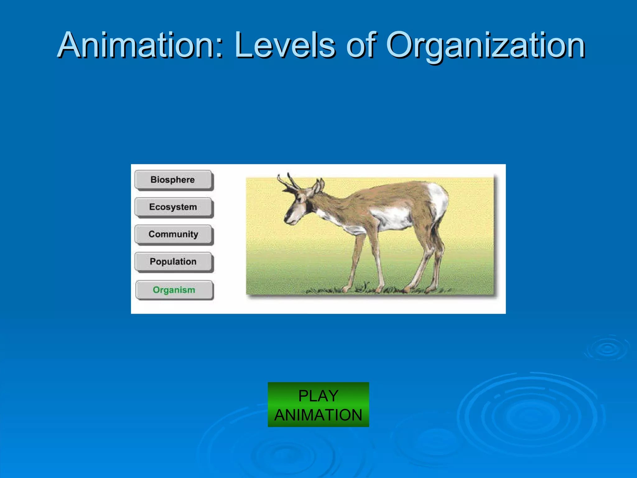 Animation: Levels of Organization PLAY ANIMATION 