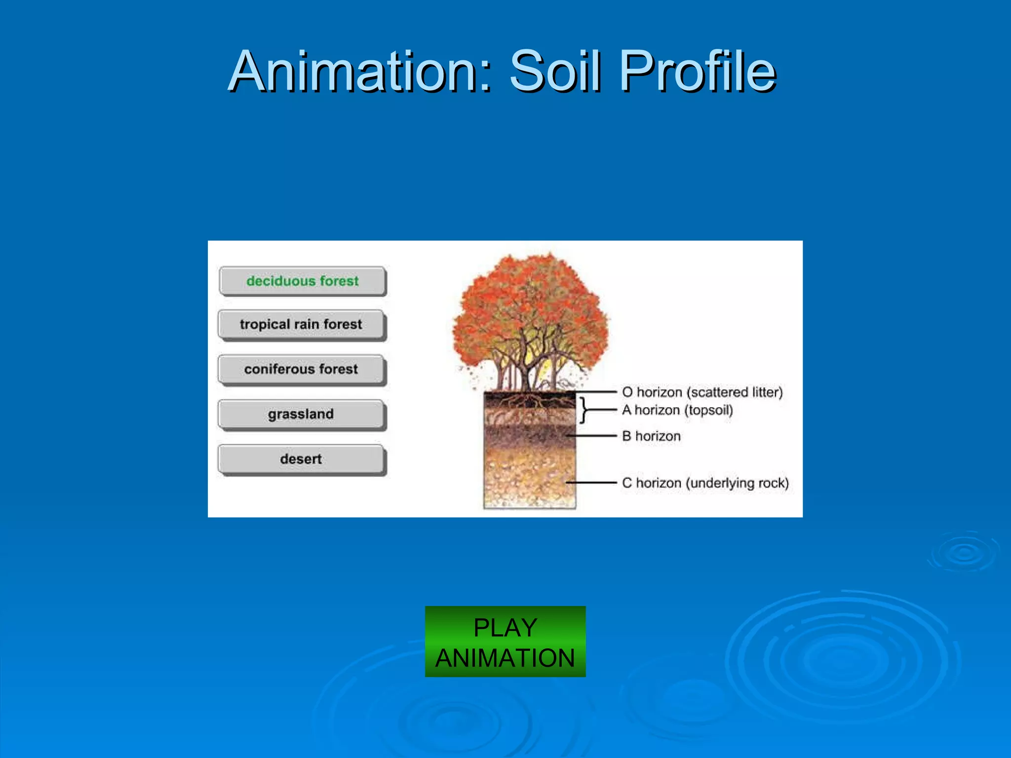 Animation: Soil Profile  PLAY ANIMATION 