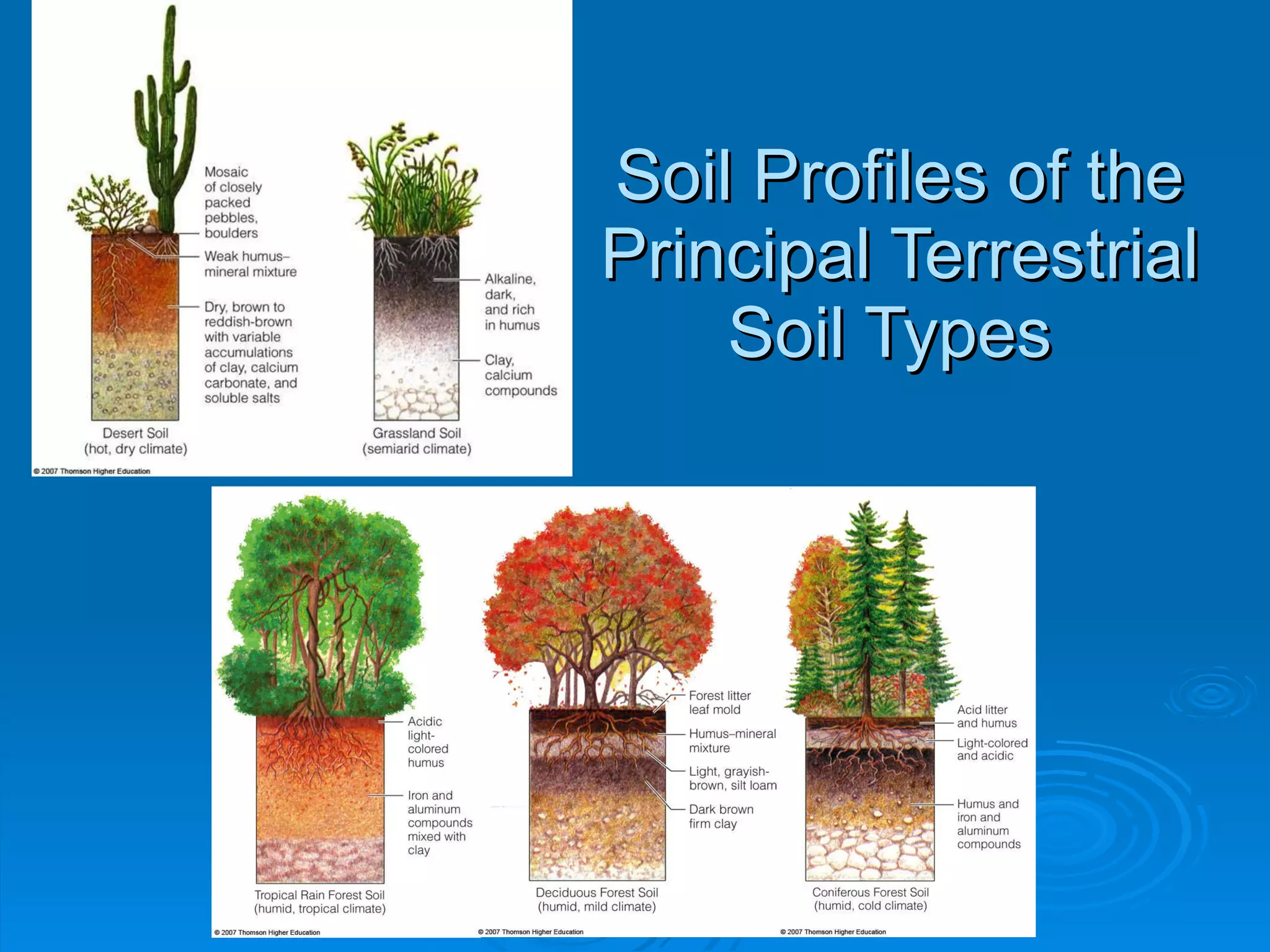 Soil Profiles of the Principal Terrestrial Soil Types  
