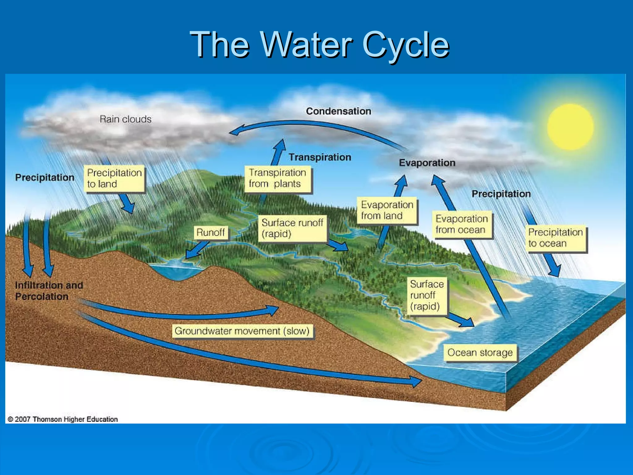 The Water Cycle 