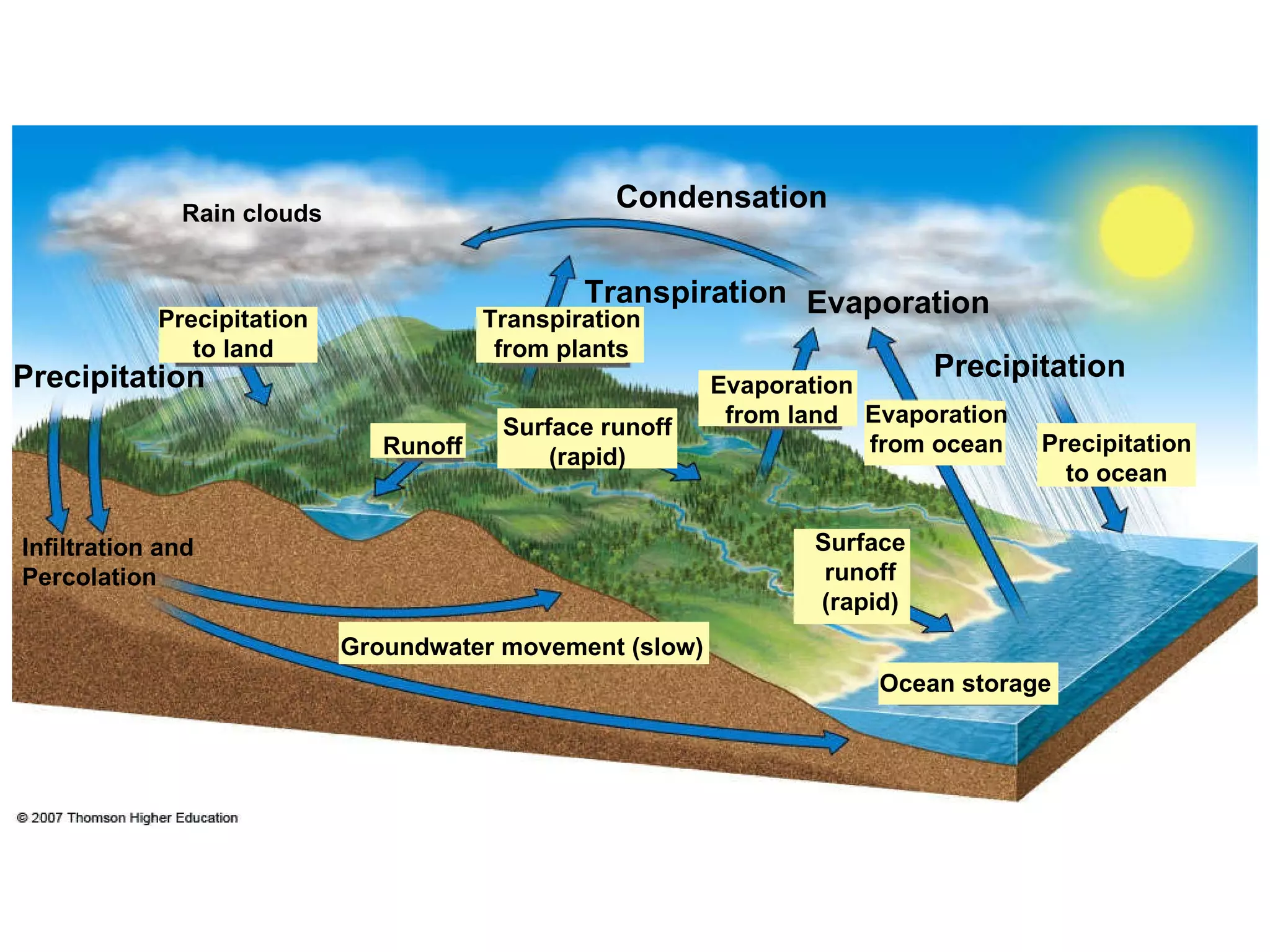 Precipitation Precipitation Transpiration Condensation Evaporation Ocean storage Transpiration from plants Precipitation to land Groundwater movement (slow) Evaporation from land Evaporation from ocean Precipitation to ocean Infiltration and Percolation Rain clouds Runoff Surface runoff (rapid) Surface runoff (rapid) 