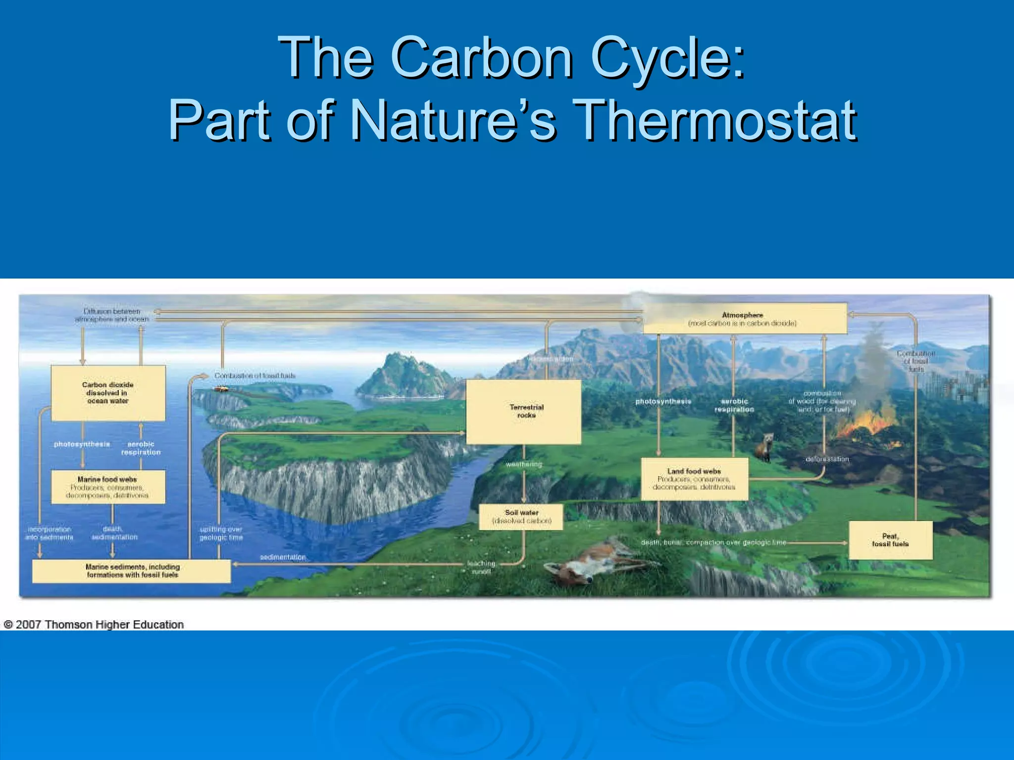 The Carbon Cycle: Part of Nature ’s Thermostat 