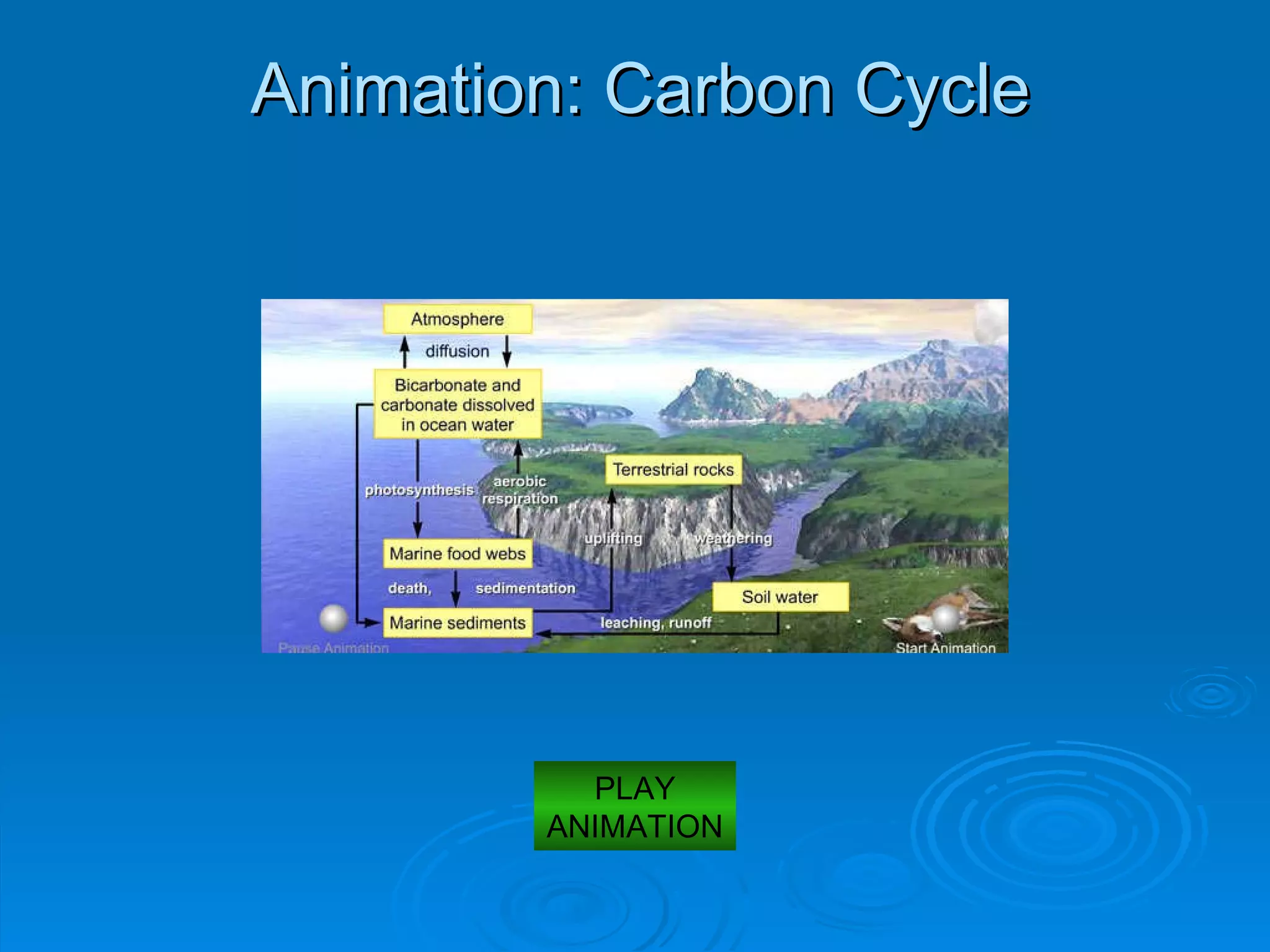 Animation: Carbon Cycle PLAY ANIMATION 