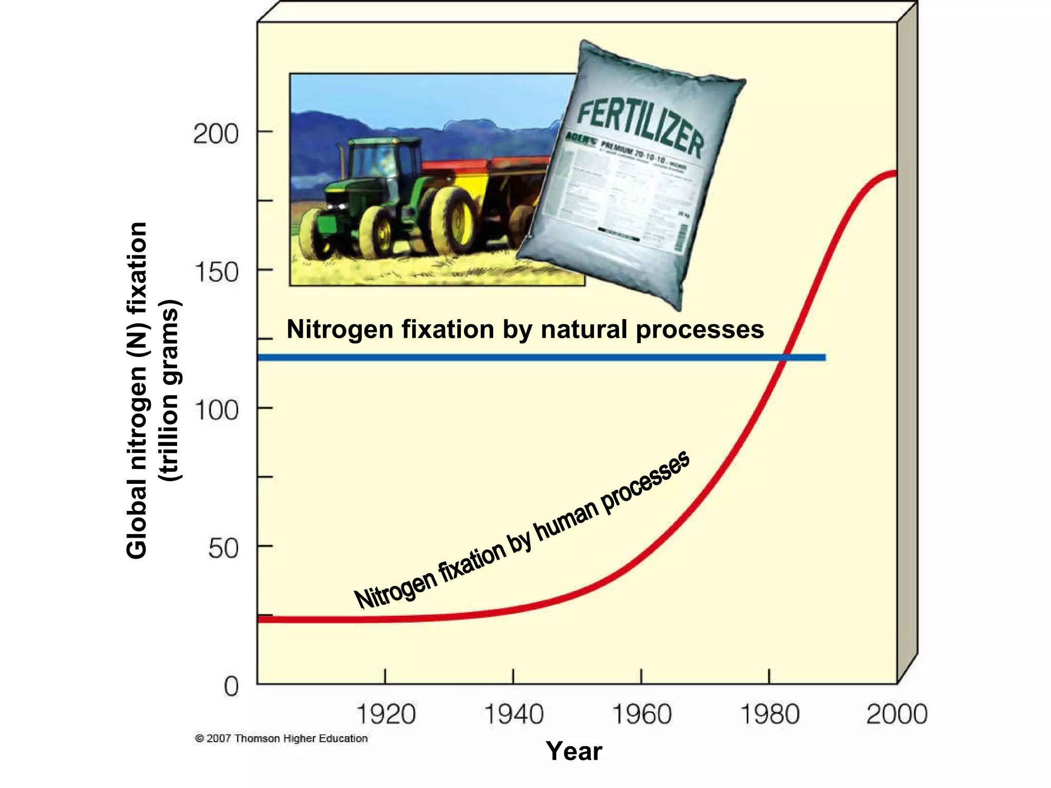 Nitrogen fixation by natural processes Global nitrogen (N) fixation (trillion grams) Nitrogen fixation by human processes Year 