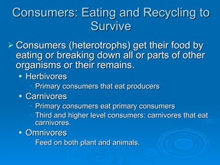 Ecosystems: How do they work? | PPT