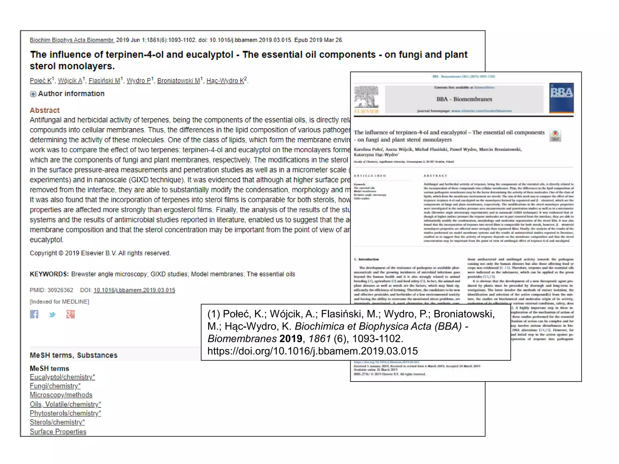 (1) Połeć, K.; Wójcik, A.; Flasiński, M.; Wydro, P.; Broniatowski,
M.; Hąc-Wydro, K. Biochimica et Biophysica Acta (BBA) -
Biomembranes 2019, 1861 (6), 1093-1102.
https://doi.org/10.1016/j.bbamem.2019.03.015
 