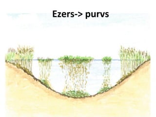 Ezers-> purvs

 