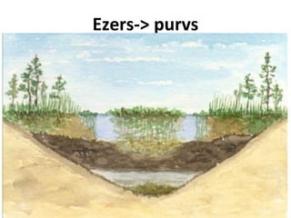 Ezers-> purvs

 