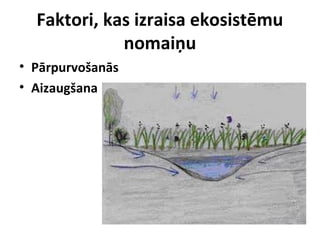 Faktori, kas izraisa ekosistēmu
nomaiņu
• Pārpurvošanās
• Aizaugšana

 