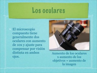 Los oculares

El microscopio
compuesto tiene
generalmente dos
oculares con aumento
de 10x y ajuste para
compensar por visión
distinta en ambos      Aumento de los oculares
ojos.                     x aumento de los
                       objetivos = aumento de
                              la imagen
 