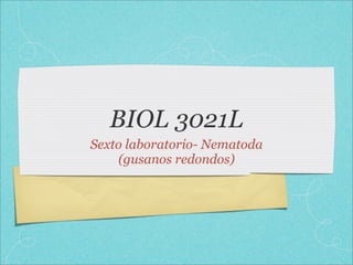 BIOL 3021L
Sexto laboratorio- Nematoda
    (gusanos redondos)
 
