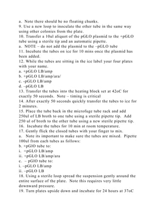 Biol 390 – Lab 8 Restriction Digest and Gel Electrophoresis .docx