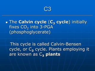  The Calvin cycle (C3 cycle) initially
fixes CO2 into 3-PGA
(phosphoglycerate)
This cycle is called Calvin-Bensen
cycle, or C3 cycle. Plants employing it
are known as C3 plants
C3
 