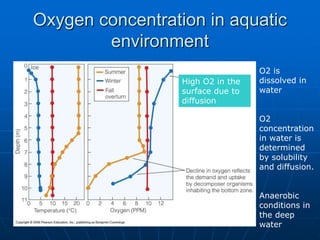Oxygen concentration in aquatic
environment
O2 is
dissolved in
water
O2
concentration
in water is
determined
by solubility
and diffusion.
Anaerobic
conditions in
the deep
water
High O2 in the
surface due to
diffusion
 