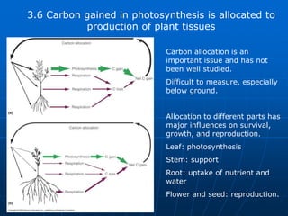 3.6 Carbon gained in photosynthesis is allocated to
production of plant tissues
Carbon allocation is an
important issue and has not
been well studied.
Difficult to measure, especially
below ground.
Allocation to different parts has
major influences on survival,
growth, and reproduction.
Leaf: photosynthesis
Stem: support
Root: uptake of nutrient and
water
Flower and seed: reproduction.
 