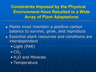  Plants must maintain a positive carbon
balance to survive, grow, and reproduce
 Essential plant resources and conditions are
interdependent
• Light (PAR)
• CO2
• H2O and Minerals
• Temperature
Constraints Imposed by the Physical
Environment Have Resulted in a Wide
Array of Plant Adaptations
 