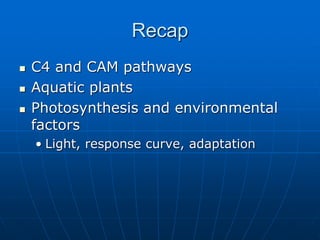 Recap
 C4 and CAM pathways
 Aquatic plants
 Photosynthesis and environmental
factors
• Light, response curve, adaptation
 