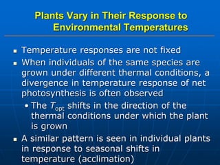  Temperature responses are not fixed
 When individuals of the same species are
grown under different thermal conditions, a
divergence in temperature response of net
photosynthesis is often observed
• The Topt shifts in the direction of the
thermal conditions under which the plant
is grown
 A similar pattern is seen in individual plants
in response to seasonal shifts in
temperature (acclimation)
Plants Vary in Their Response to
Environmental Temperatures
 