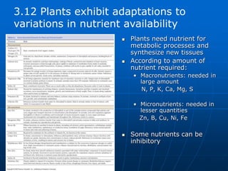  Plants need nutrient for
metabolic processes and
synthesize new tissues
 According to amount of
nutrient required:
• Macronutrients: needed in
large amount
N, P, K, Ca, Mg, S
• Micronutrients: needed in
lesser quantities
Zn, B, Cu, Ni, Fe
 Some nutrients can be
inhibitory
3.12 Plants exhibit adaptations to
variations in nutrient availability
 
