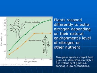  Plants respond
differently to extra
nitrogen depending
on their natural
environment’s level
of nitrogen or
other nutrient
Two grass species, carpet bent
grass (A. stolonifera) in high N
and velent bent grass (A.
canina) in low N conditions.
 