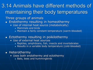 3.14 Animals have different methods of
maintaining their body temperatures
Three groups of animals
 Endothermy resulting in homeothermy
• Use of internal heat source (metabolically)
 Mammals and birds
 Maintain a fairly constant temperature (warm-blooded)
 Ectothermy resulting in poikilothermy
• Use of external heat sources
 Reptiles, amphibians, fish, insects and invertebrates
 Results in a variable body temperature (cold-blooded)
 Heterothermy
• Uses both endothermy and ectothermy
 Bats, bees and hummingbirds
 