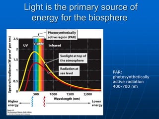 Light is the primary source of
energy for the biosphere
PAR:
photosynthetically
active radiation
400-700 nm
 