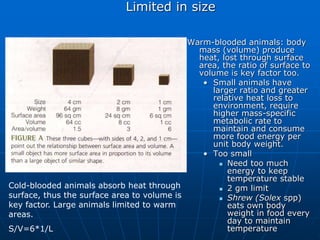 Limited in size
Warm-blooded animals: body
mass (volume) produce
heat, lost through surface
area, the ratio of surface to
volume is key factor too.
• Small animals have
larger ratio and greater
relative heat loss to
environment, require
higher mass-specific
metabolic rate to
maintain and consume
more food energy per
unit body weight.
• Too small
 Need too much
energy to keep
temperature stable
 2 gm limit
 Shrew (Solex spp)
eats own body
weight in food every
day to maintain
temperature
Cold-blooded animals absorb heat through
surface, thus the surface area to volume is
key factor. Large animals limited to warm
areas.
S/V=6*1/L
 