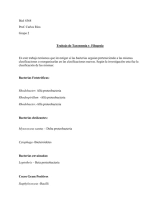 Biol 4368<br />Prof. Carlos Ríos <br />Grupo 2<br />Trabajo de Taxonomía y  Filogenia<br /> <br />En este trabajo teníamos que investigar si las bacterias seguían perteneciendo a las mismas clasificaciones o reorganizarlas en las clasificaciones nuevas. Según la investigación esta fue la clasificación de las mismas:<br />Bacterias Fototróficas:<br />Rhodobacter- Alfa proteobacteria<br />Rhodospirillum  -Alfa proteobacteria<br />Rhodobacter.-Alfa proteobacteria<br />Bacterias deslizantes:<br />Myxococcus xantus – Delta proteobacteria<br />Cytophaga -Bacteroidetes<br />Bacterias envainadas:<br />Leptothrix – Beta proteobacteria<br />Cocos Gram Positivos<br />Staphylococcus -Bacilli<br />Micrococcus- Actinobacteria<br />Neisseria-  Beta Proteobacteria <br />Bacterias quimiolitotroficas gram (-) <br />Nitrobacter- Beta Proteobacteria<br />Thiobacillus- Alfa Proteobacteria<br />. <br />Bacterias productoras de metano.<br />Methanosarcina-  Methanomicrobia<br />Bacilos gram(-) anaerobios facultativos<br />E. coli- Gamma Proteobacteria<br />Salmonella-  Gamma Proteobacteria<br />Pseudomonas- Gamma Proteobacteria<br />Rhizobium- Alfa Proteobacteria<br />Gram(-) anaerobios<br />Bacteroides-  Bacteroidetes<br />Desulfovibrio- Delta Proteobacteria<br />Neisseria-  Beta Proteobacteria<br />Veillonella- Acidaminococcaceae, Clostridia<br />Actinomicetos: <br />Streptomyces - Actinobacteria <br />Diccionario - Ver diccionario detallado<br />Mycoplasma:<br />Micoplasma- Mycoplasma<br />Rickettsiaceae:<br />Rickettsia - Rickettsiaceae <br /> Chlamydia:<br />Chlamydia – Chlamydia<br />Espiroquetas:<br />Borrelia -Espiroquetas<br />Leptospira - Espiroquetas<br />Treponema –Espiroquetas<br />