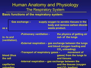 Human Anatomy and Physiology
                     The Respiratory System
Basic functions of the respiratory system:

        Gas exchange –          supply oxygen to aerobic tissues in the
                                       body and remove carbon dioxide
as a                                   waste product.

                 -Pulmonary ventilation -     the physics of getting air
in- to and                                    out- of the lungs
(ventilation).
                 -External respiration - gas exchange between the lungs
                                         and blood (oxygen loading and
                                                CO2 unloading).
                 -Transport of respiratory gases -       movement of
blood (thus                                     gases) from the lungs to
the cell                                        and tissues.
                 -Internal respiration – gas exchange between the
capillaries                                     and the tissues (oxygen
 