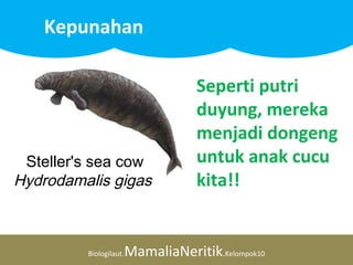 Biologilaut.MamaliaNeritik.Kelompok10
Kepunahan
Seperti putri
duyung, mereka
menjadi dongeng
untuk anak cucu
kita!!
Steller's sea cow
Hydrodamalis gigas
 