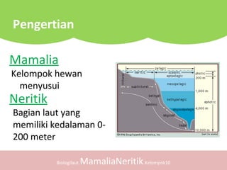 Mamalia
Kelompok hewan
menyusui
Biologilaut.MamaliaNeritik.Kelompok10
Neritik
Pengertian
Bagian laut yang
memiliki kedalaman 0-
200 meter
 