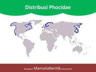 Biologilaut.MamaliaNeritik.Kelompok10
Distribusi Phocidae
 