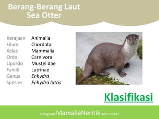 Biologilaut.MamaliaNeritik.Kelompok10
Berang-Berang Laut
Sea Otter
Kerajaan Animalia
Filum Chordata
Kelas Mammalia
Ordo Carnivora
Upordo Mustelidae
Famili Lutrinae
Genus Enhydra
Spesies Enhydra lutris
Klasifikasi
 