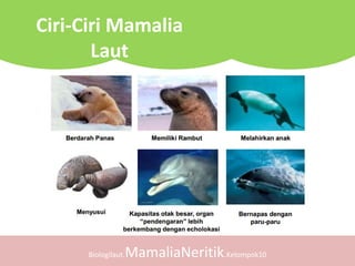 Biologilaut.MamaliaNeritik.Kelompok10
Ciri-Ciri Mamalia
Laut
 