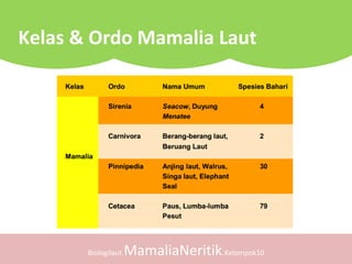 Biologilaut.MamaliaNeritik.Kelompok10
Kelas & Ordo Mamalia Laut
 