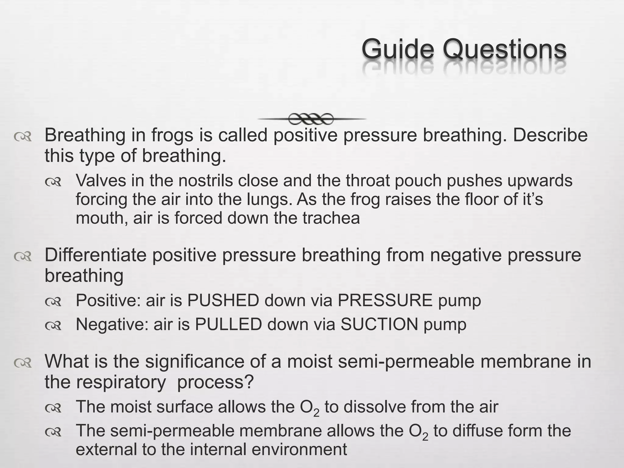 Guide Questions

 Breathing in frogs is called positive pressure breathing. Describe
  this type of breathing.
    Valves in the nostrils close and the throat pouch pushes upwards
     forcing the air into the lungs. As the frog raises the floor of it’s
     mouth, air is forced down the trachea

 Differentiate positive pressure breathing from negative pressure
  breathing
    Positive: air is PUSHED down via PRESSURE pump
    Negative: air is PULLED down via SUCTION pump

 What is the significance of a moist semi-permeable membrane in
  the respiratory process?
    The moist surface allows the O2 to dissolve from the air
    The semi-permeable membrane allows the O2 to diffuse form the
     external to the internal environment
 