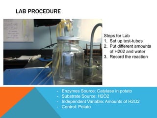 Bio lab | PPTX