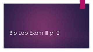 Bio Lab Exam III pt 2
 